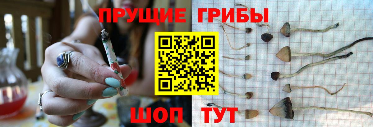 Галлюциногенные грибы ЛСД  Вход с VPN  Галлюциногенные грибы мухоморы  Холмск 